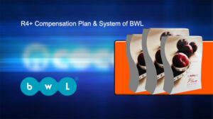 bwl logo 1