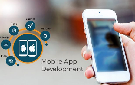 Enterprise Mobile App Development
