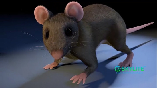 rat animation 1