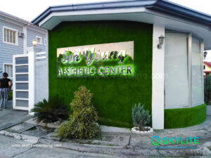 soh young aesthetic center at imus cavite 7 1
