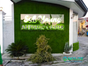 soh young aesthetic center at imus cavite 8 1